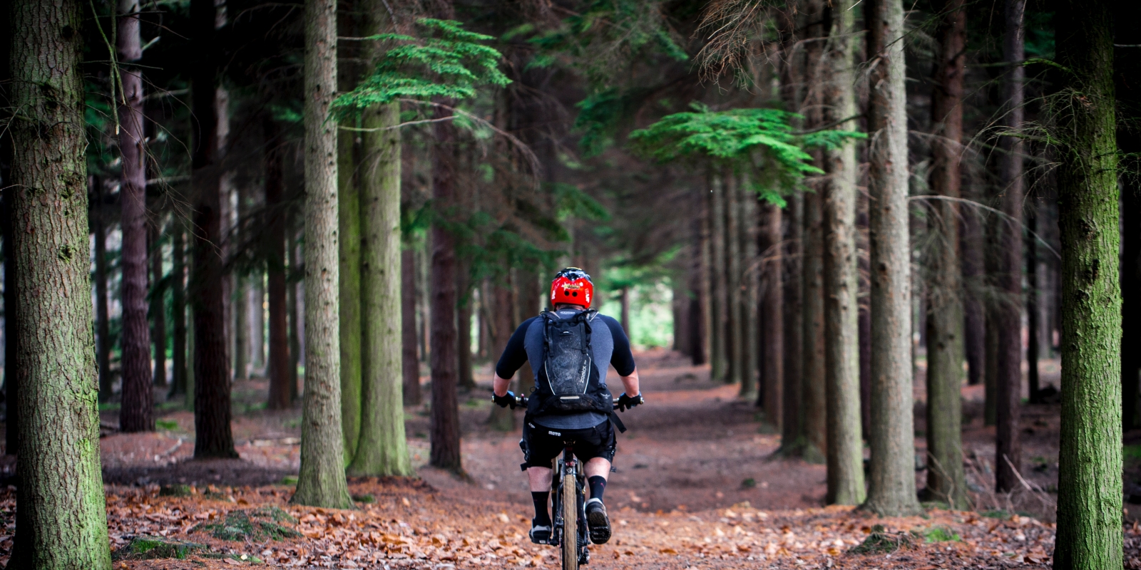 Voyage écologie aventure 