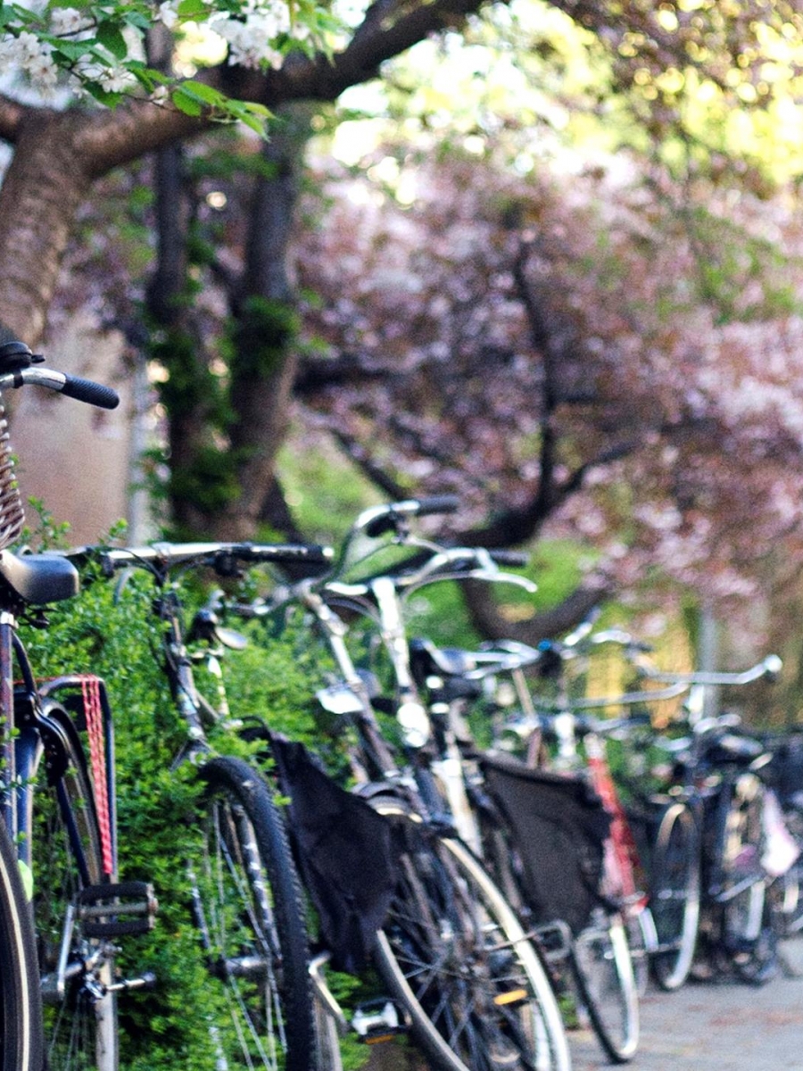 pro velo, velotourisme, bruxelles, belgique 